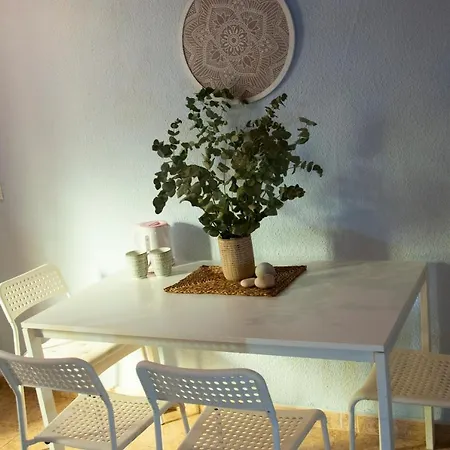 Guest At Mercado *